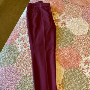 Express dress pants